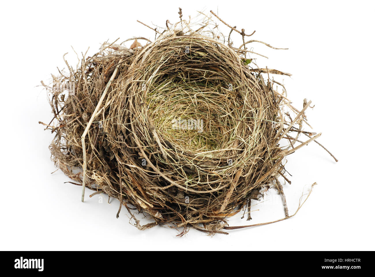 Bird's Nest Stock Photo