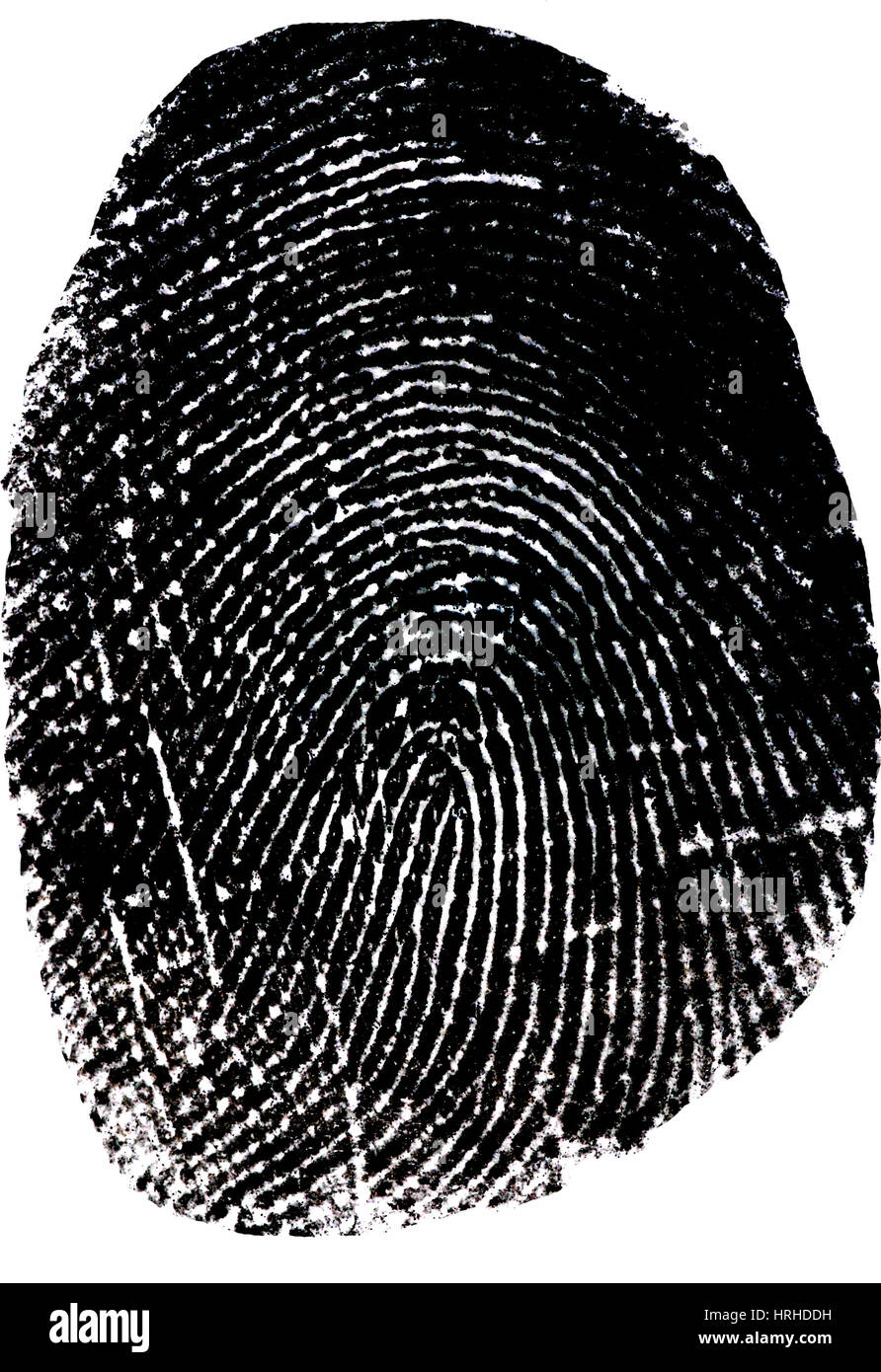 loop fingerprints