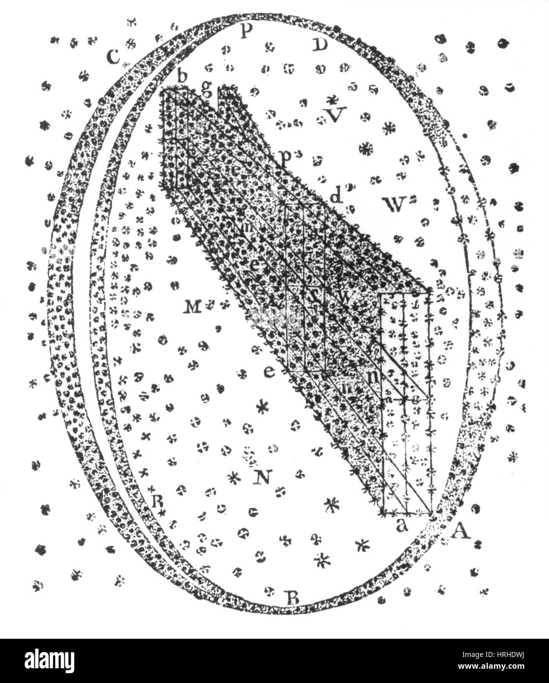 Galactic Model, Herschel, 1784 Stock Photo