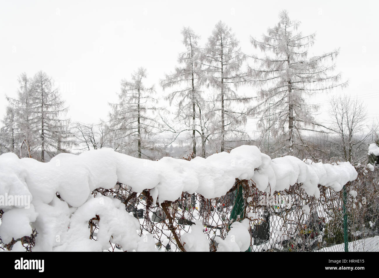 wire mesh fence covered by the fresh snow Stock Photo