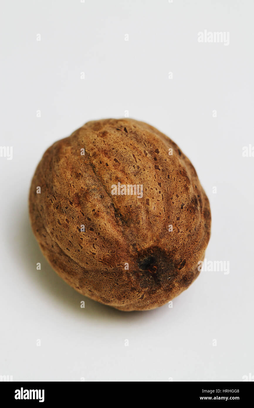 Nutmeg Seed Kernel Stock Photo Alamy