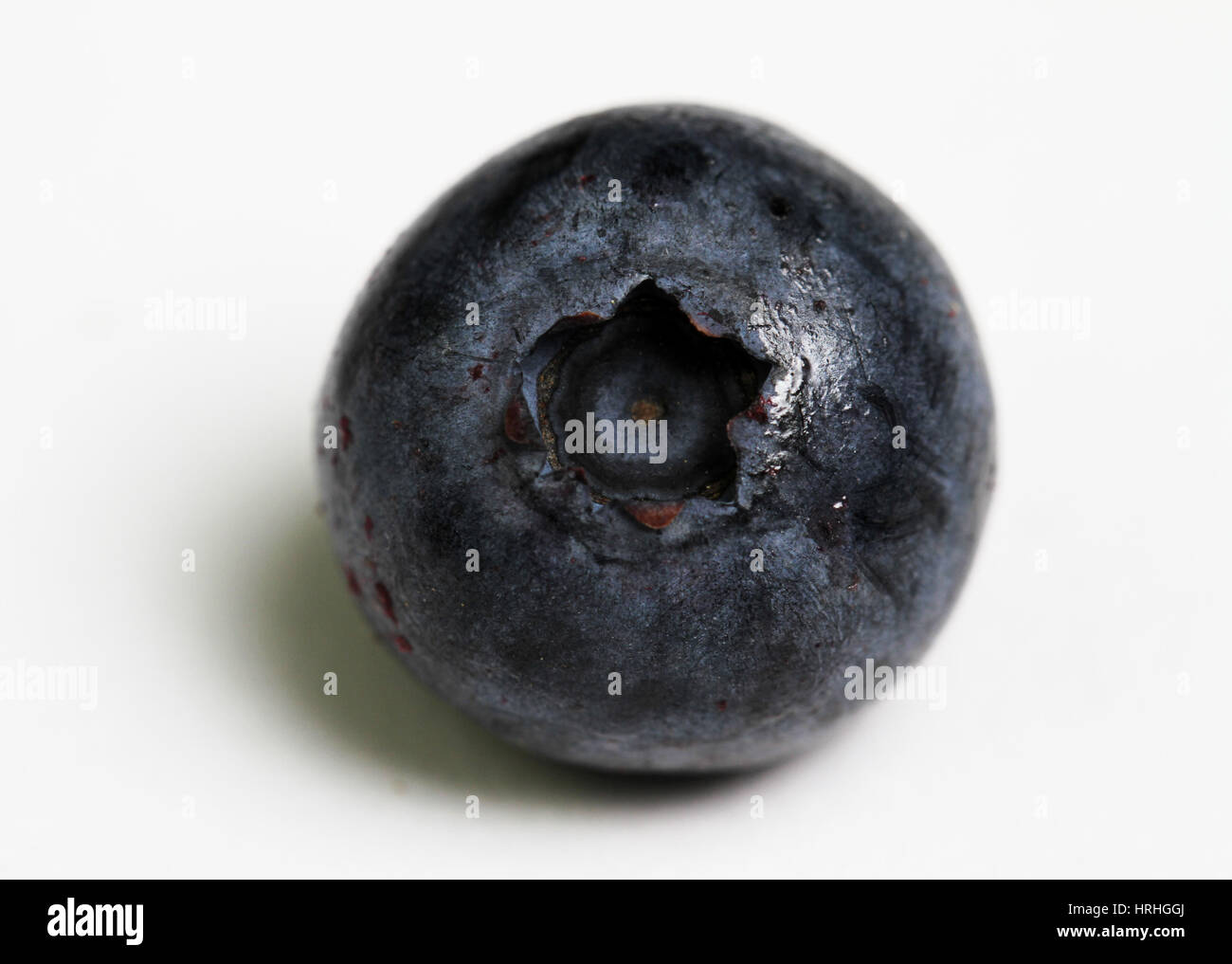 A Single Blueberry Stock Photo