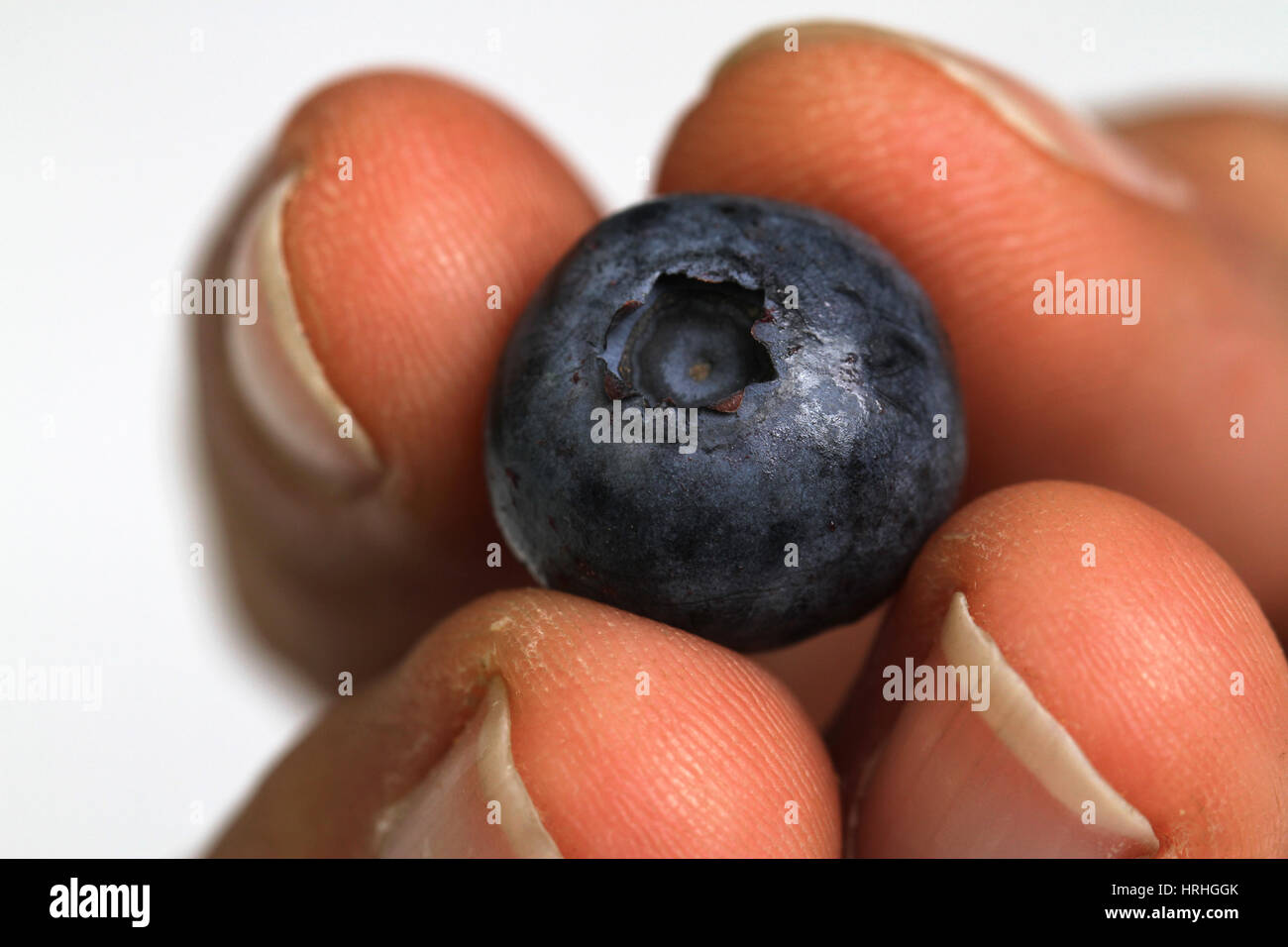 A Single Blueberry Stock Photo
