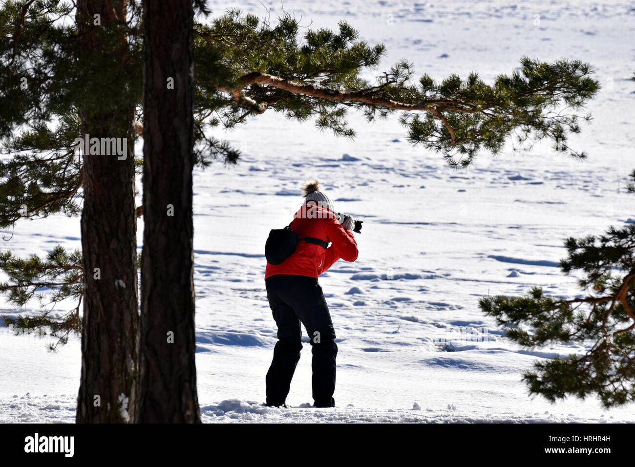 Photographer taking pictures of winter shoreline. Stock Photo