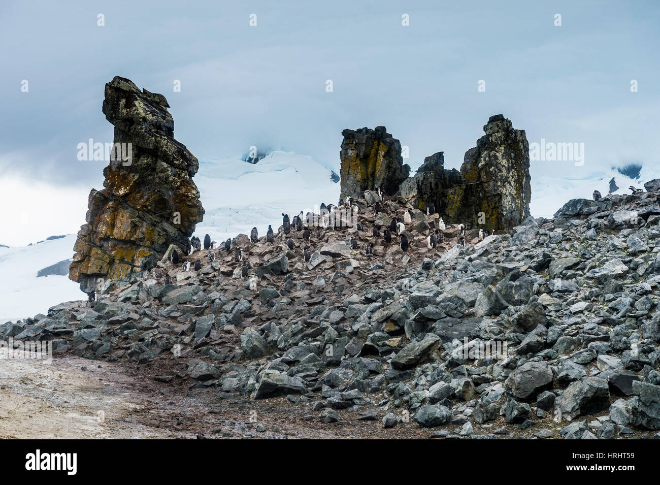 Penguins below dramatic rock formations, Half Moon Bay, South Sheltand Islands, Antarctica, Polar Regions Stock Photo