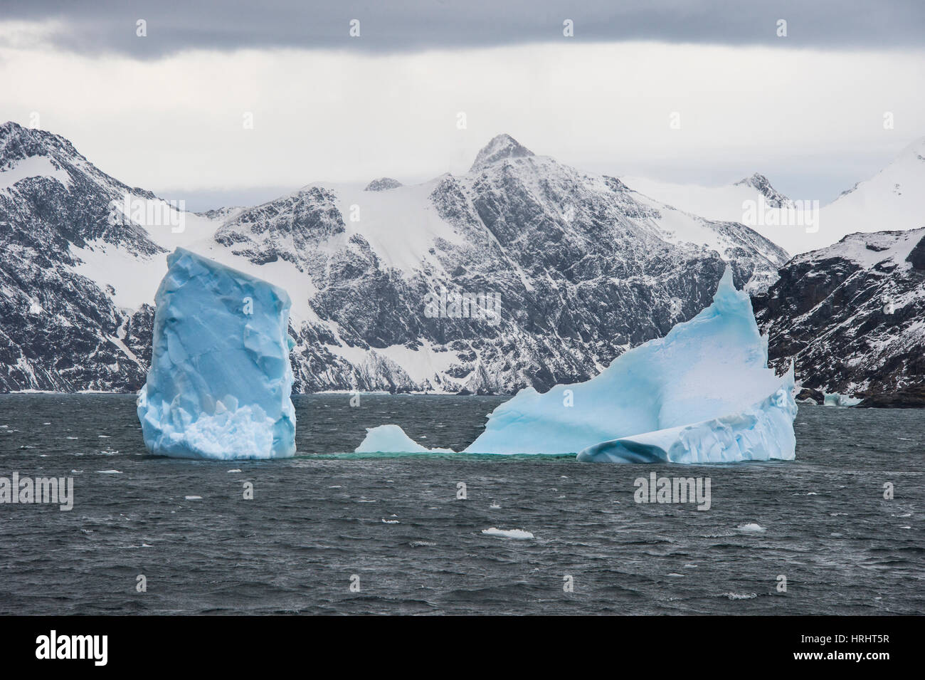 Floating iceberg, Elephant Island, South Shetland Islands, Antarctica, Polar Regions Stock Photo