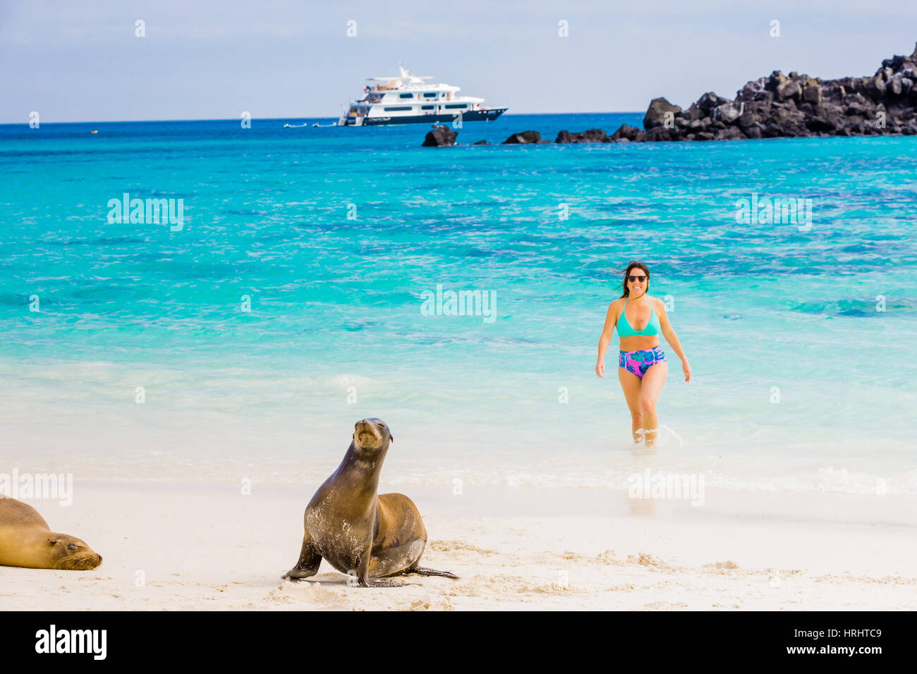Hanging out with wildlife on Floreana Island, Galapagos Islands, Ecuador Stock Photo