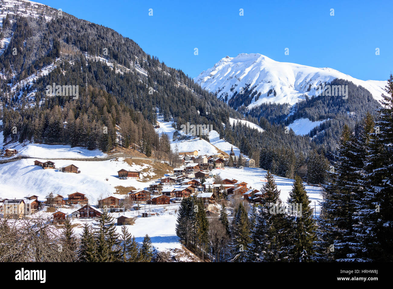 The alpine village of Langwies framed by woods and snowy peaks ...