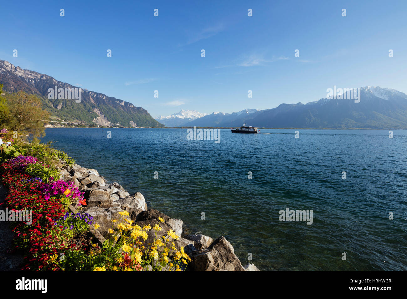 Spring flowers, Lake Geneva (Lac Leman), Montreux, Vaud, Switzerland
