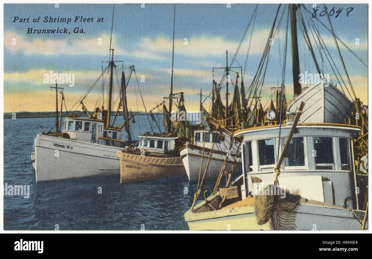 Part of shrimp fleet at Brunswick, Ga Stock Photo Alamy
