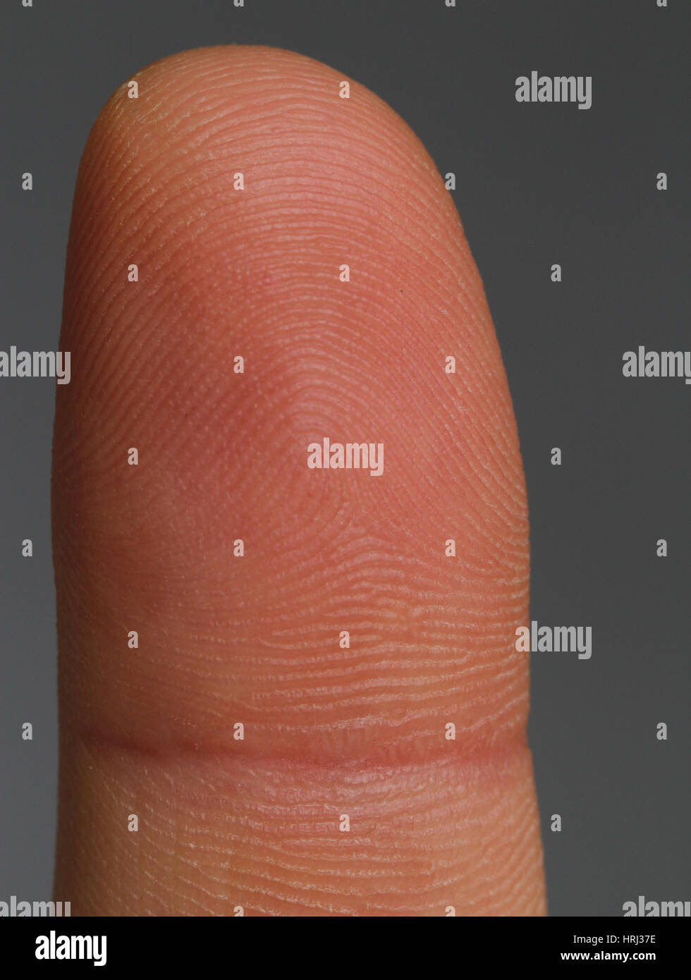 Fingertip fingerprint ridges hires stock photography and images Alamy