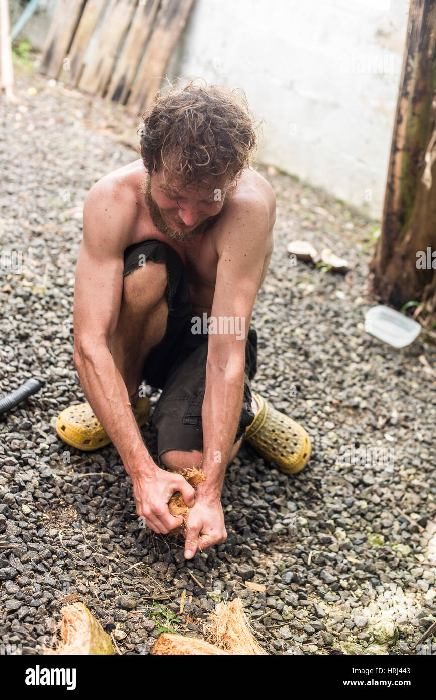 Opening A Coconut Stock Photo Alamy   Opening A Coconut HRJ443 