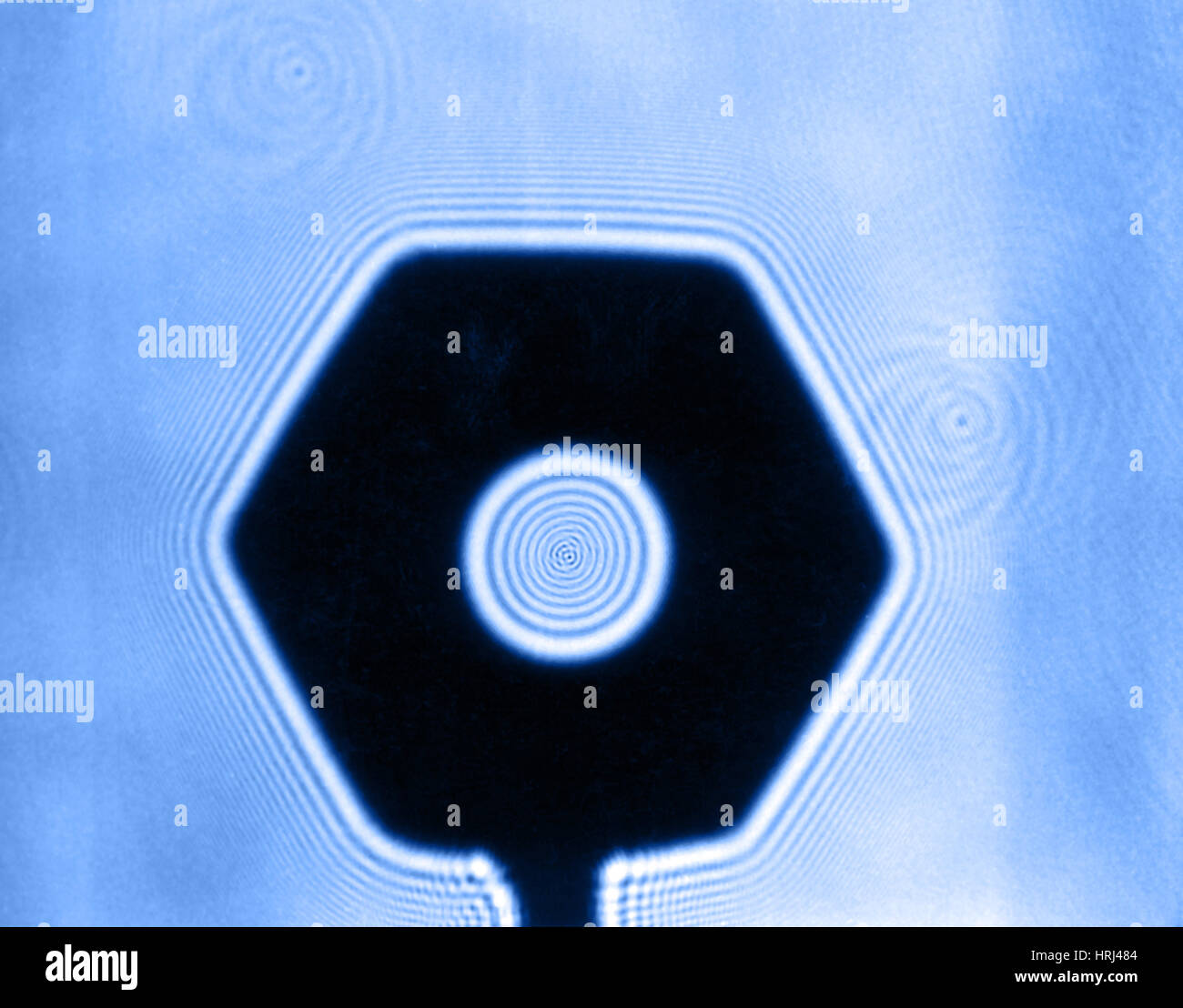 Fresnel Diffraction by Nut Stock Photo - Alamy