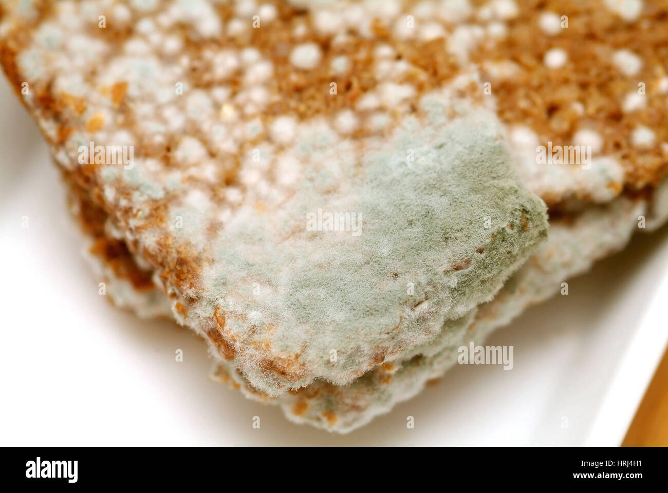 Schimmel am Brot - mouldy bread Stock Photo