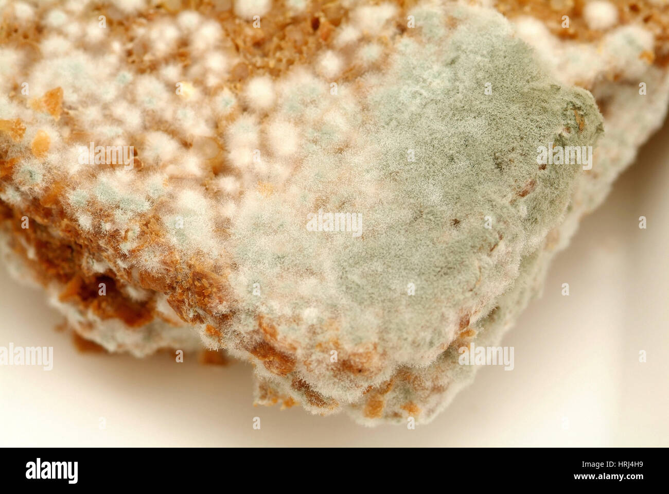 Schimmel am Brot - mouldy bread Stock Photo