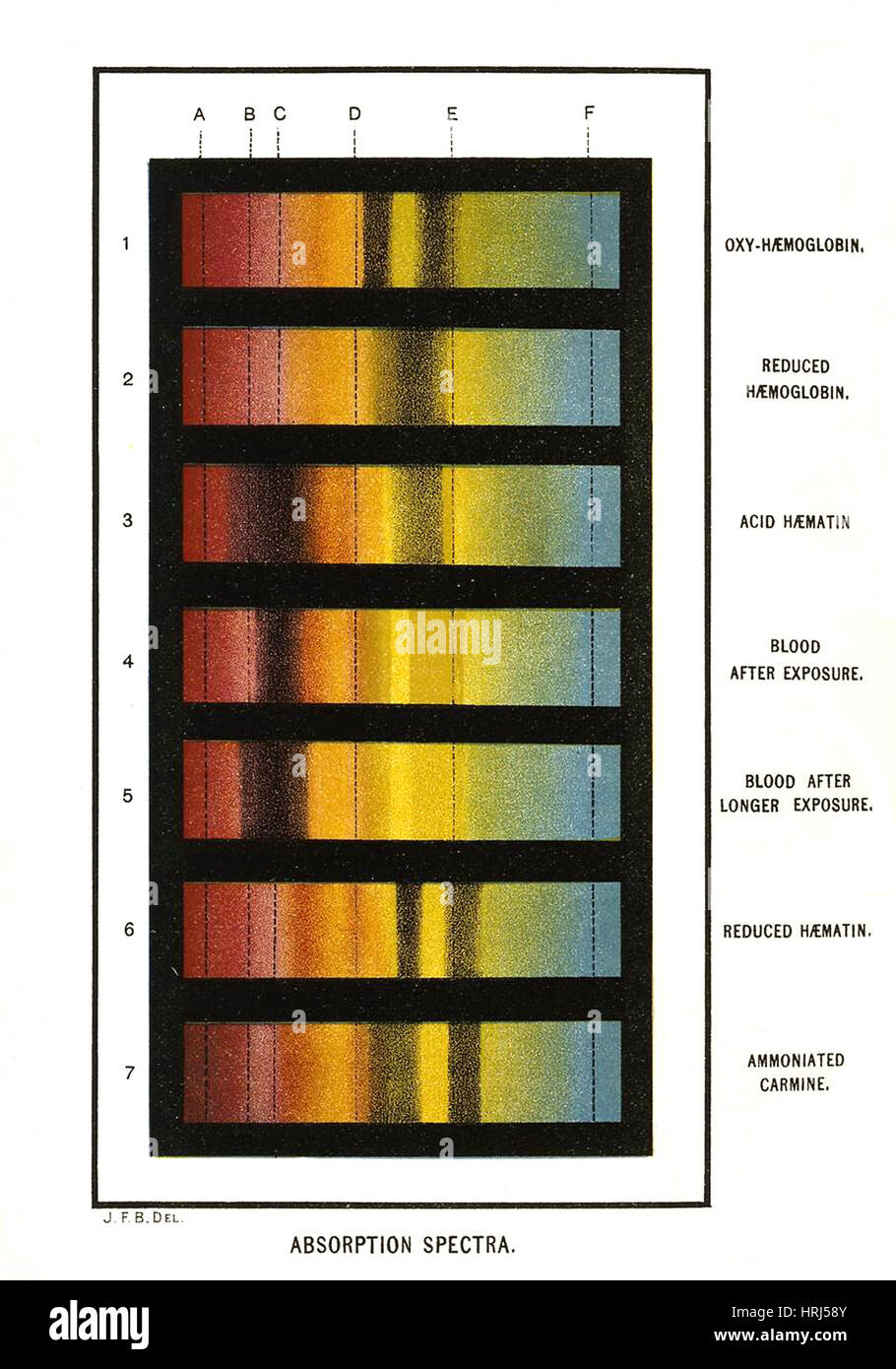 Example Of Absorption Spectrum