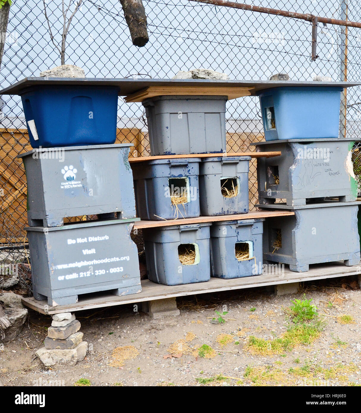Feral Cat Shelter Stock Photo Alamy
