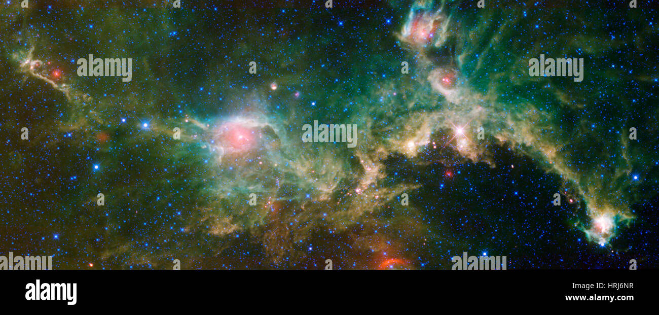 IC 2177, Seagull Nebula Stock Photo