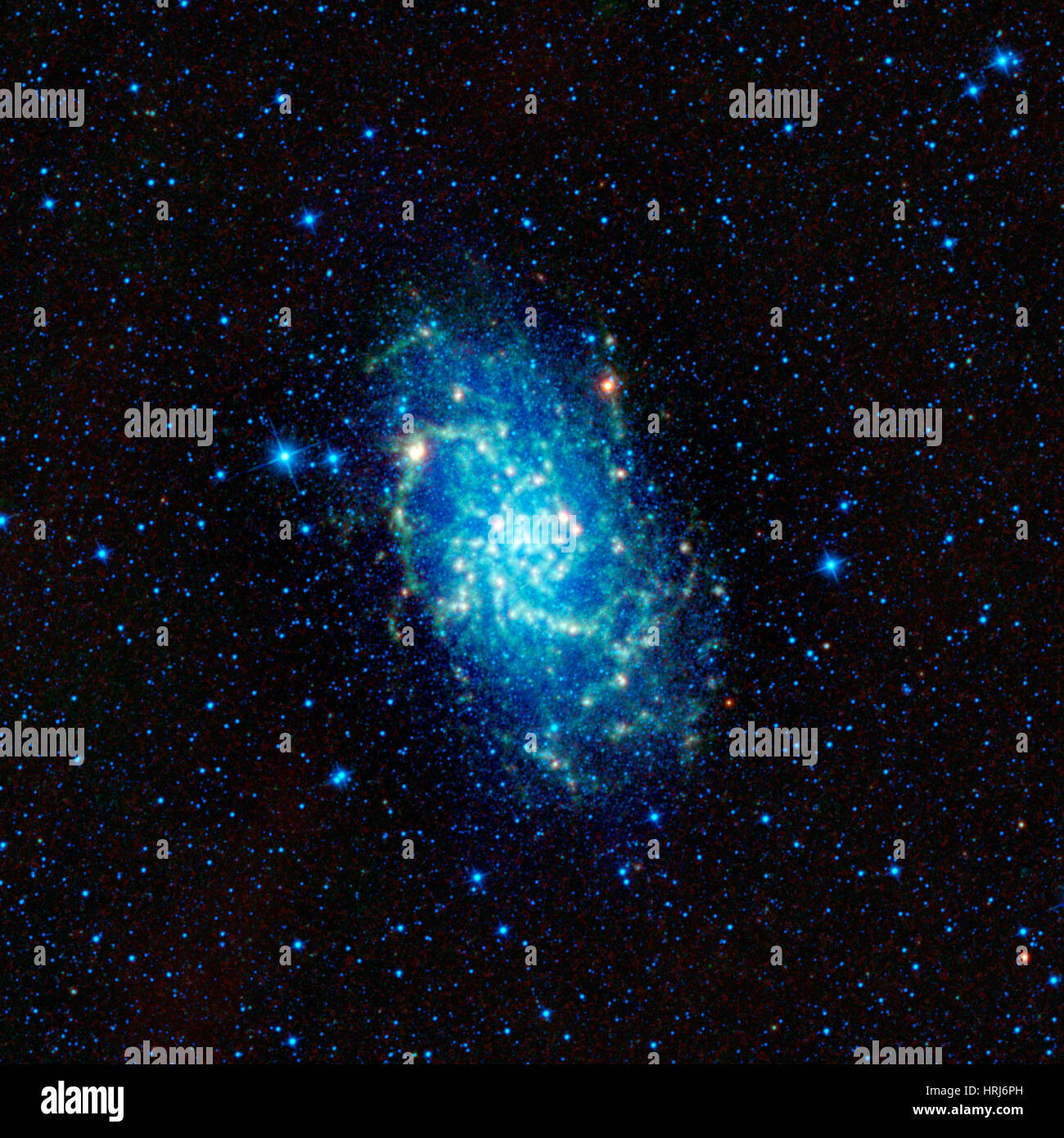 Triangulum Spiral Galaxy, M33, NGC 598 Stock Photo
