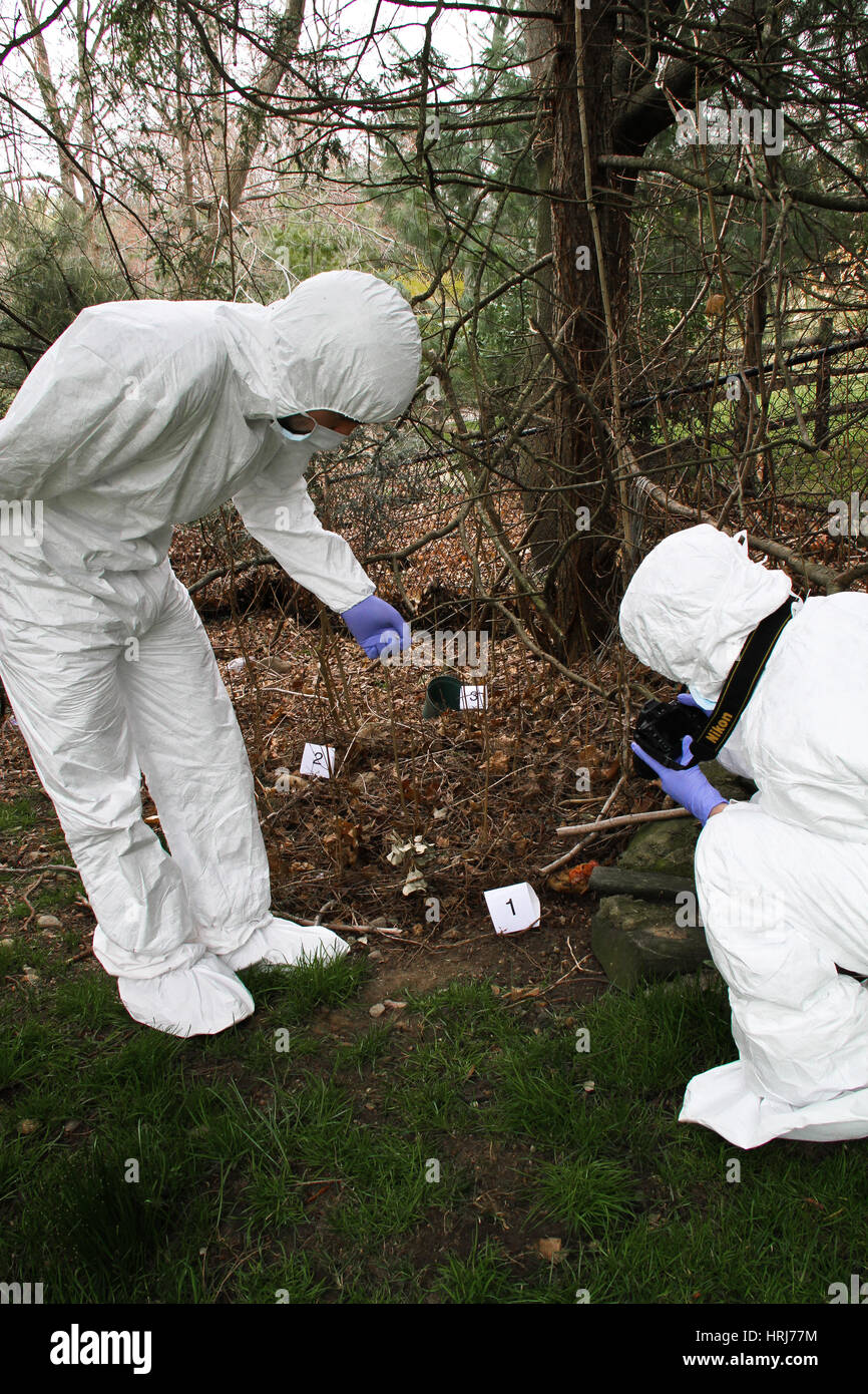 Criminal litter hires stock photography and images Alamy