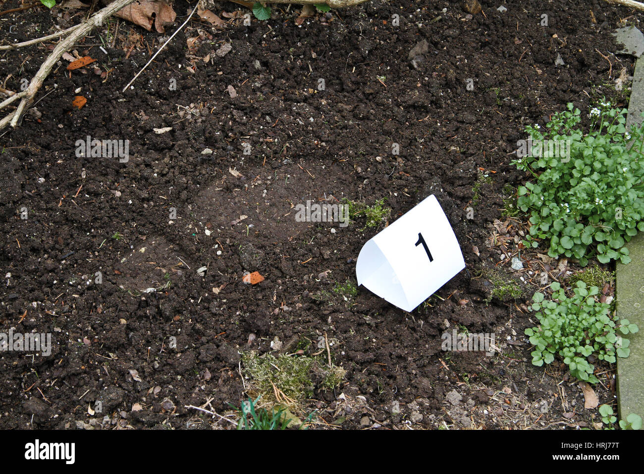 Shoe print crime scene hires stock photography and images Alamy