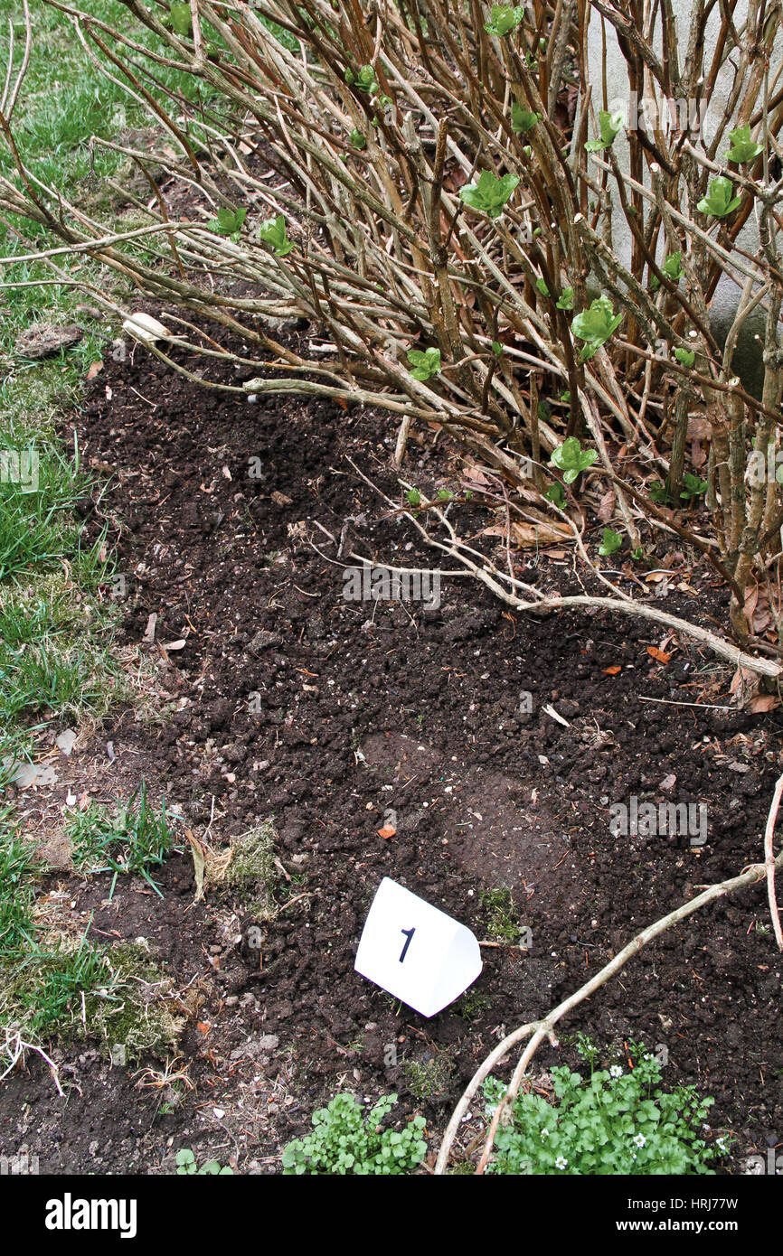 Forensic Science Footprint Hi Res Stock Photography And Images Alamy
