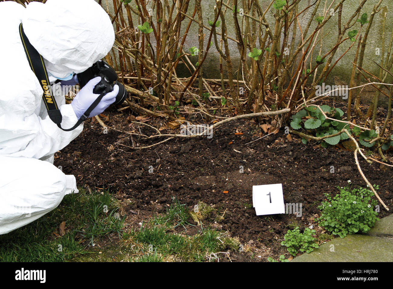 Criminal litter hires stock photography and images Alamy
