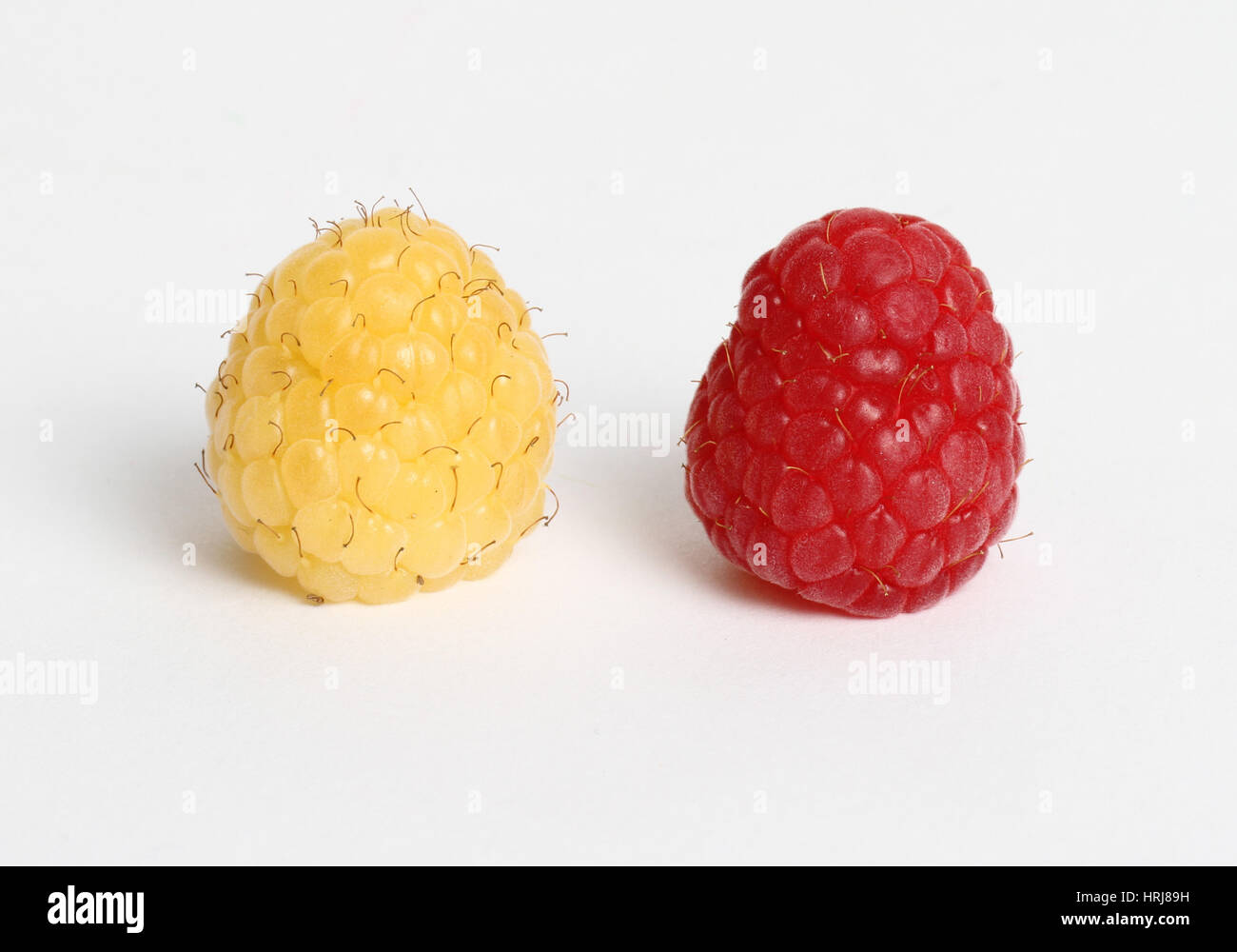 Red and Golden Raspberries Stock Photo - Alamy