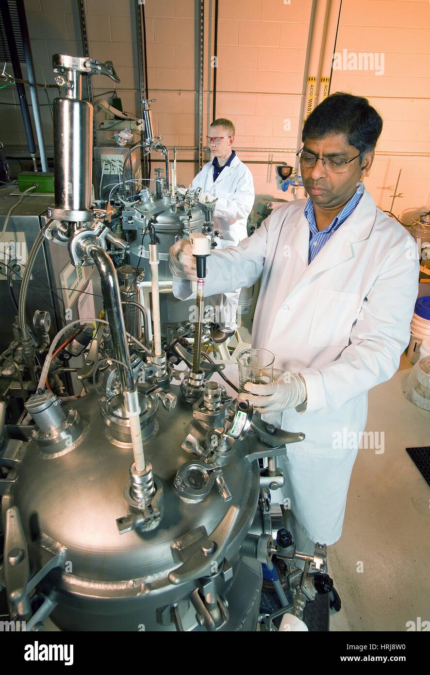 Biofuel from Wheat Straw Stock Photo