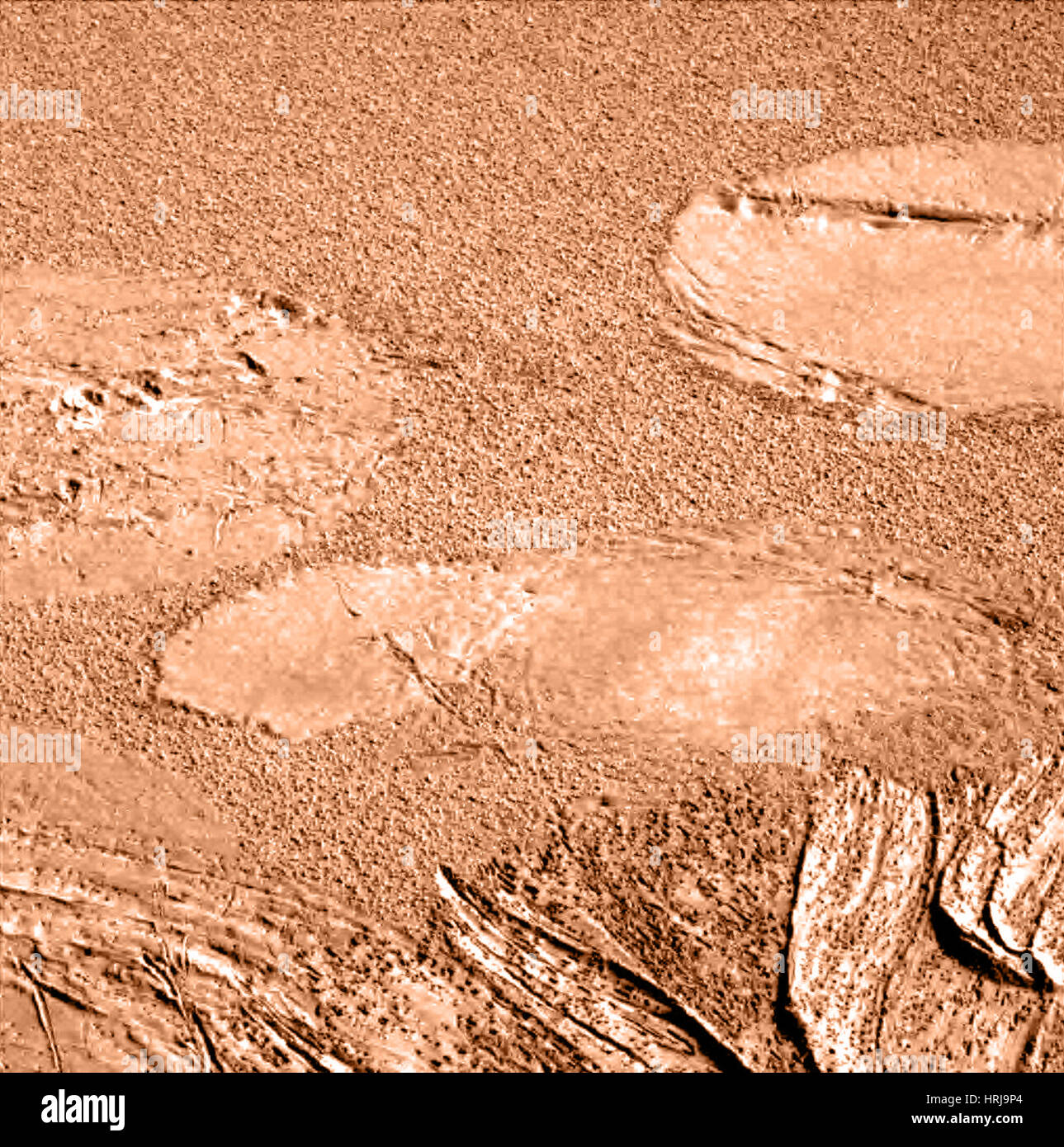 Mars Exploration Rover Airbags