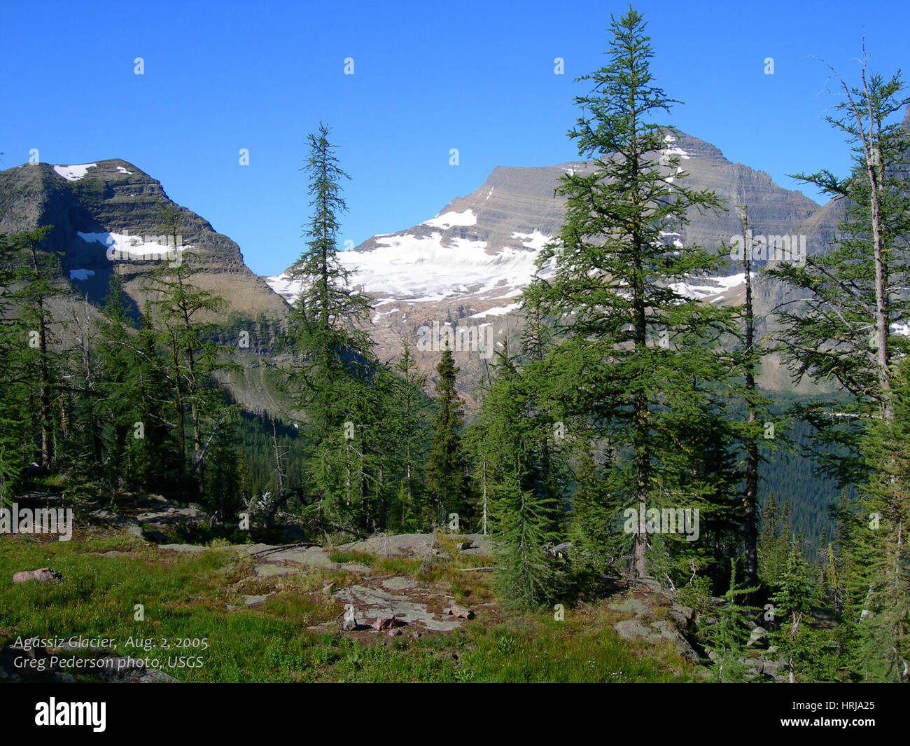 Agassiz hires stock photography and images Alamy