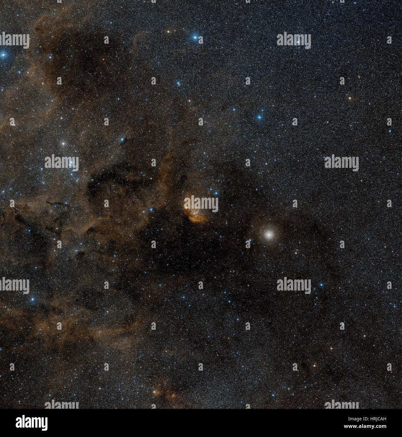 Cygnus X-1, Stellar Black Hole, Wide Field Stock Photo