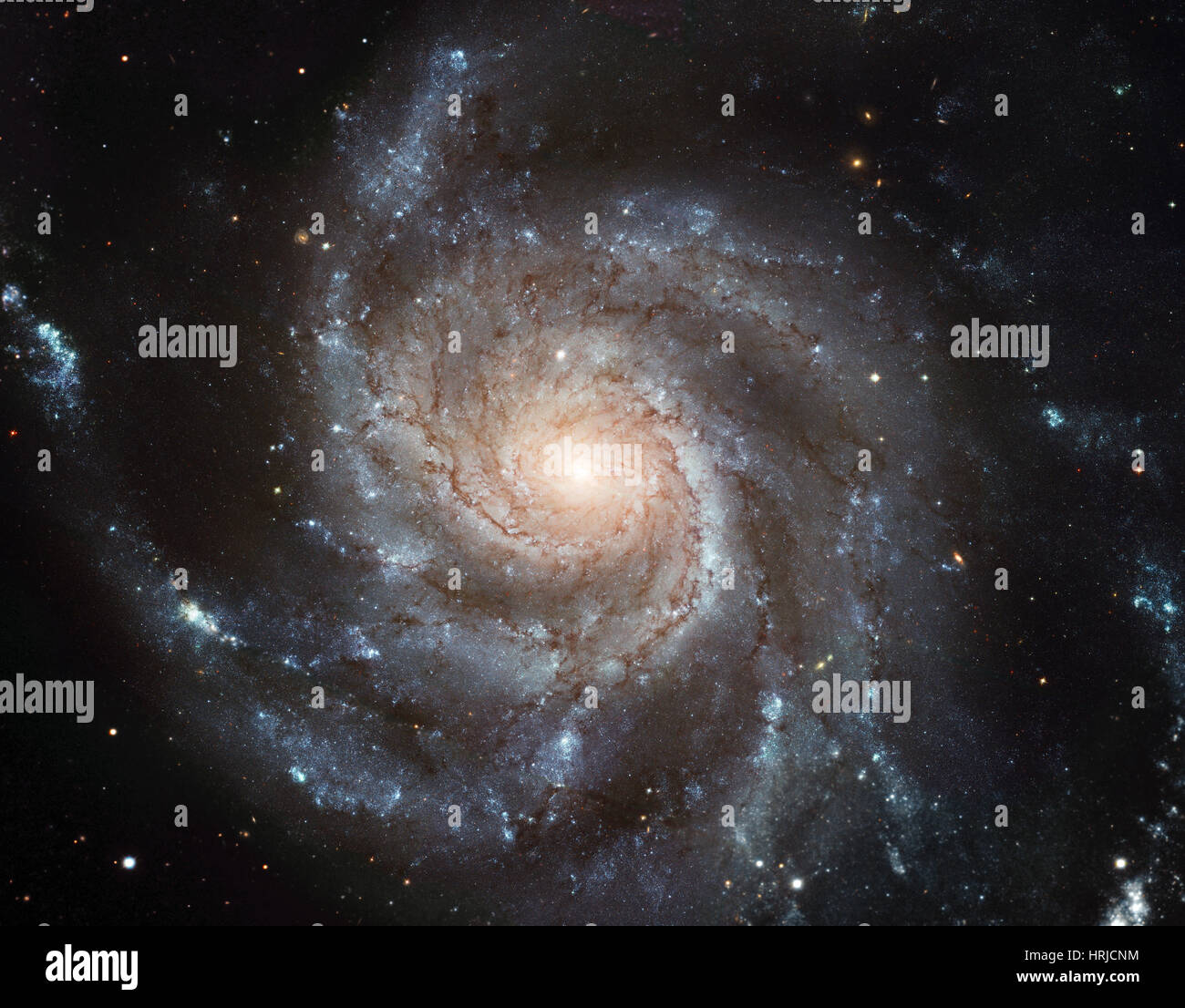M101, NGC 5457, Pinwheel Galaxy, Spiral Galaxy Stock Photo