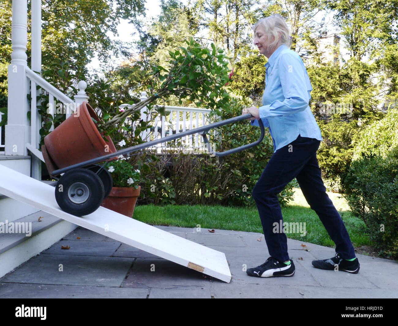 Senior Woman Moving Plants Stock Photo Alamy