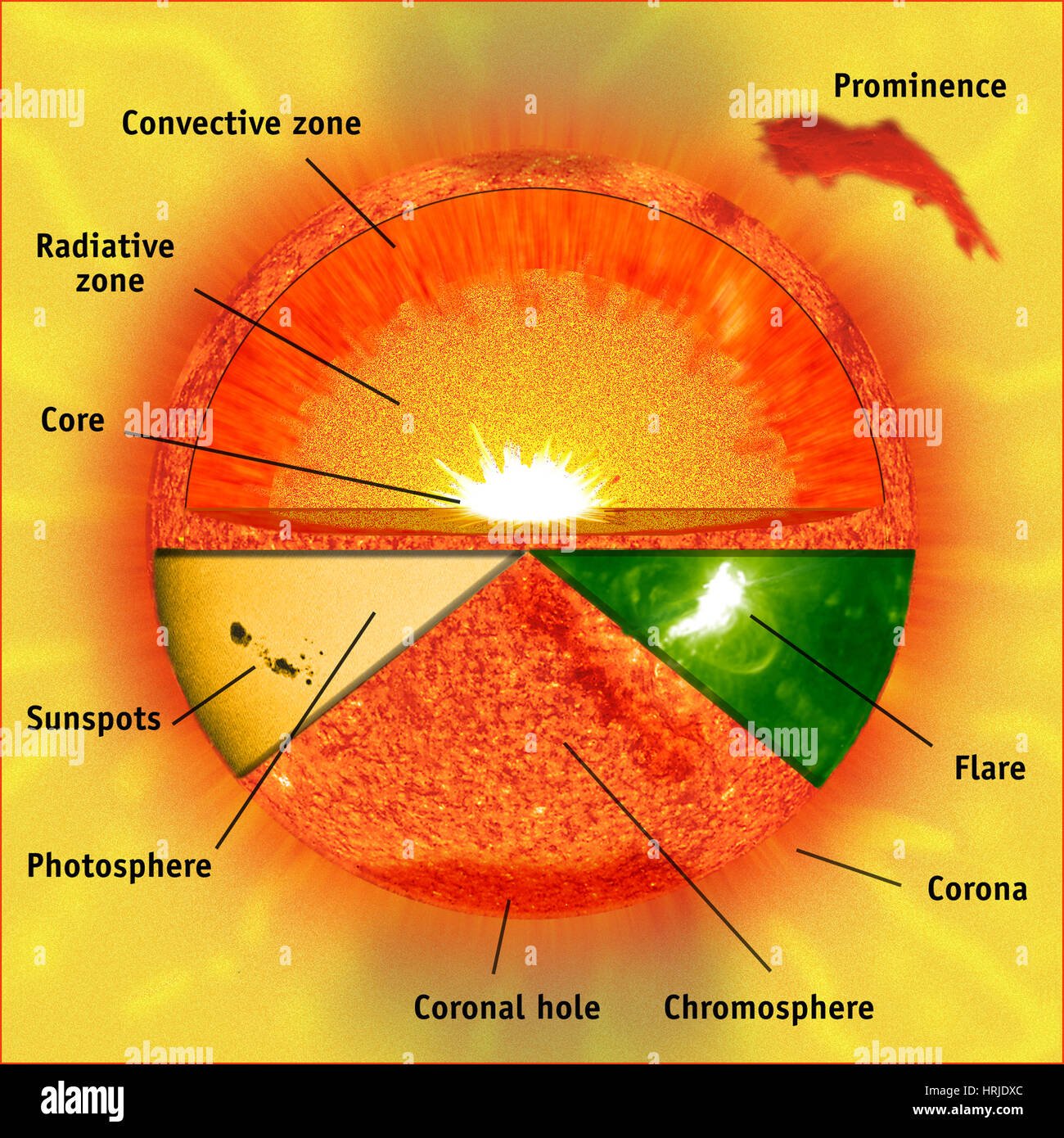 Structure of the sun stock photo alamy
