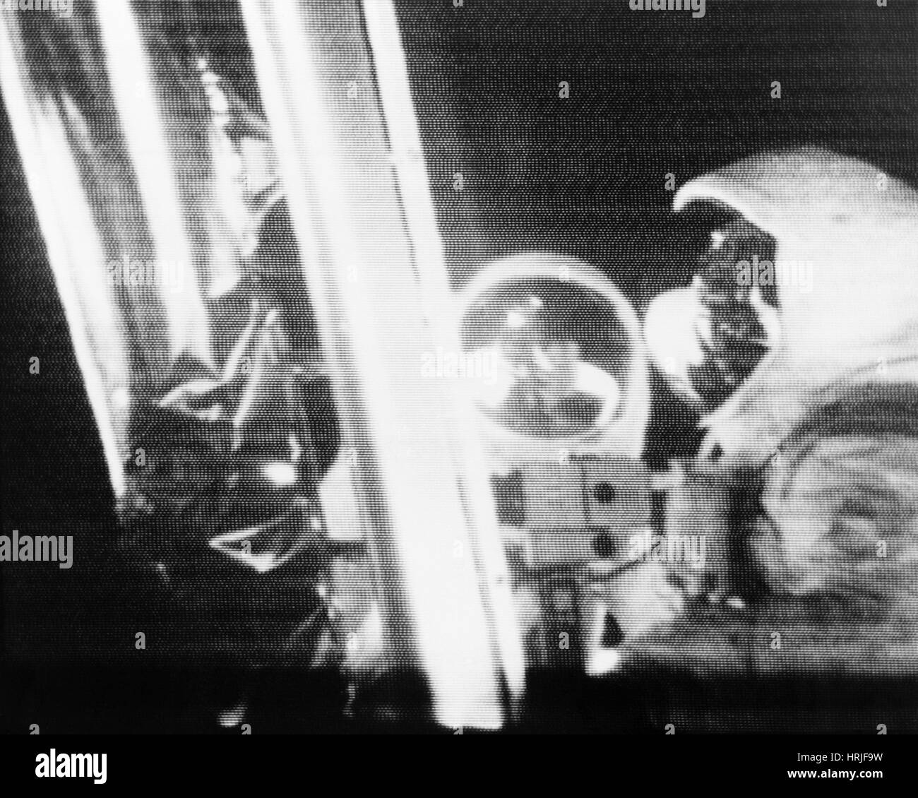 Apollo 11 Moon Telecast, 1969 Stock Photo