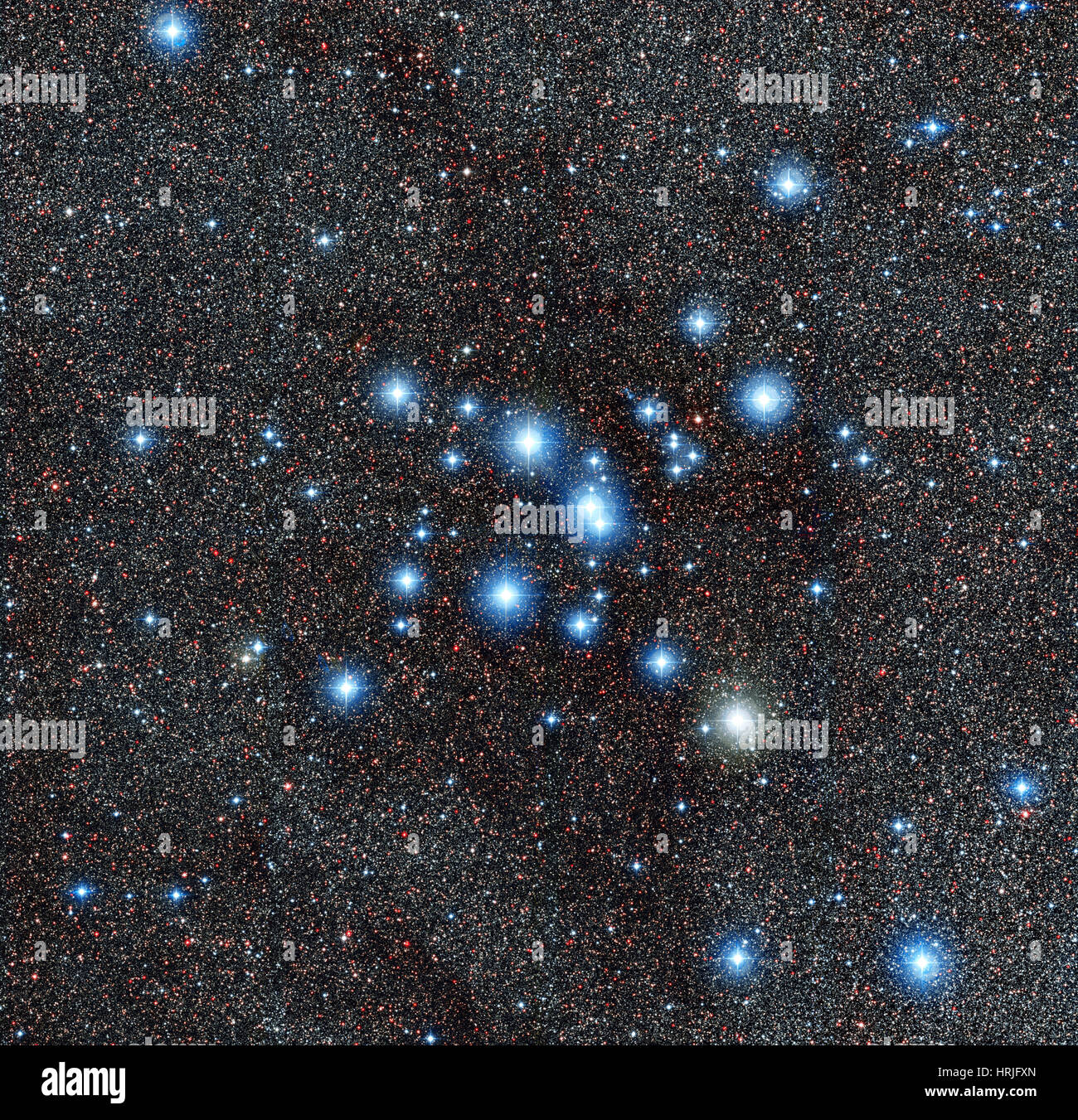 Star Cluster M7 / NGC 6475 Stock Photo - Alamy