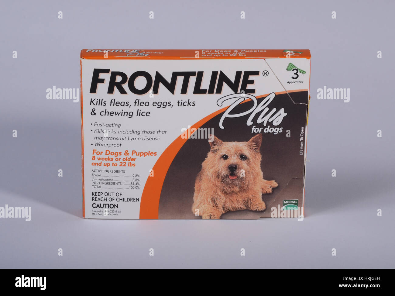 Frontline for Dogs Stock Photo Alamy