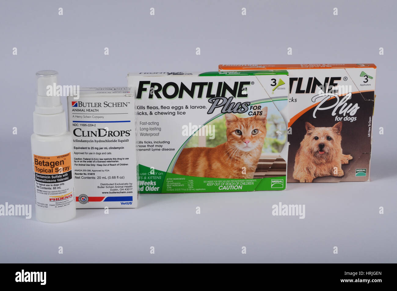 Are Dog And Cat Frontline The Same