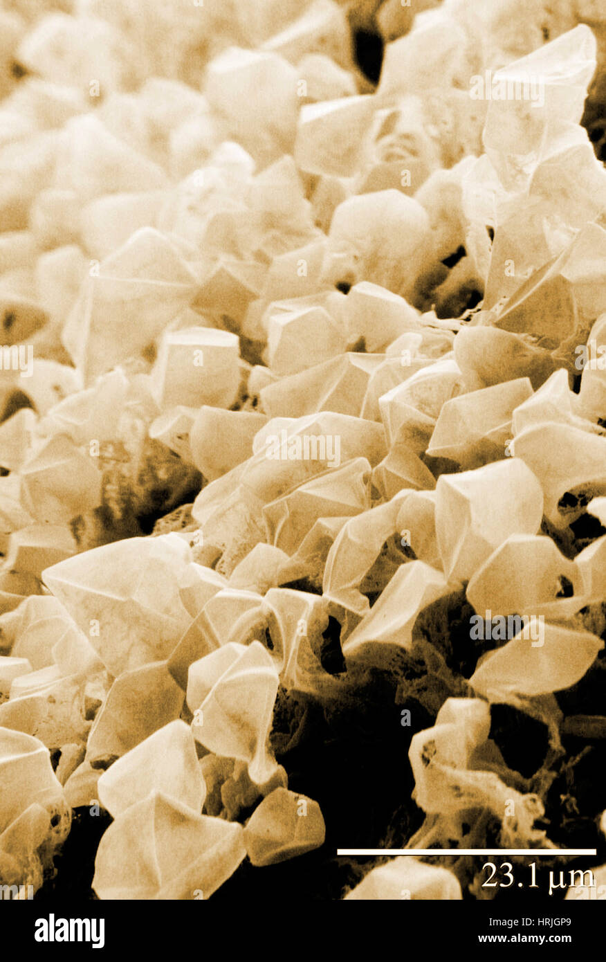 Carbon dioxide (CO2) ice/frost on Mars, LT-SEM Stock Photo