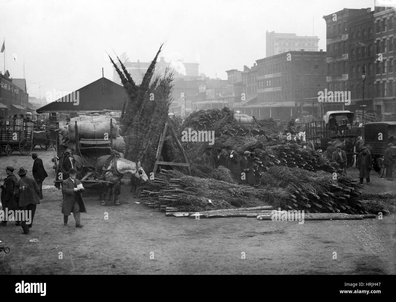 NYC Christmas Tree Market, 20th Century Stock Photo