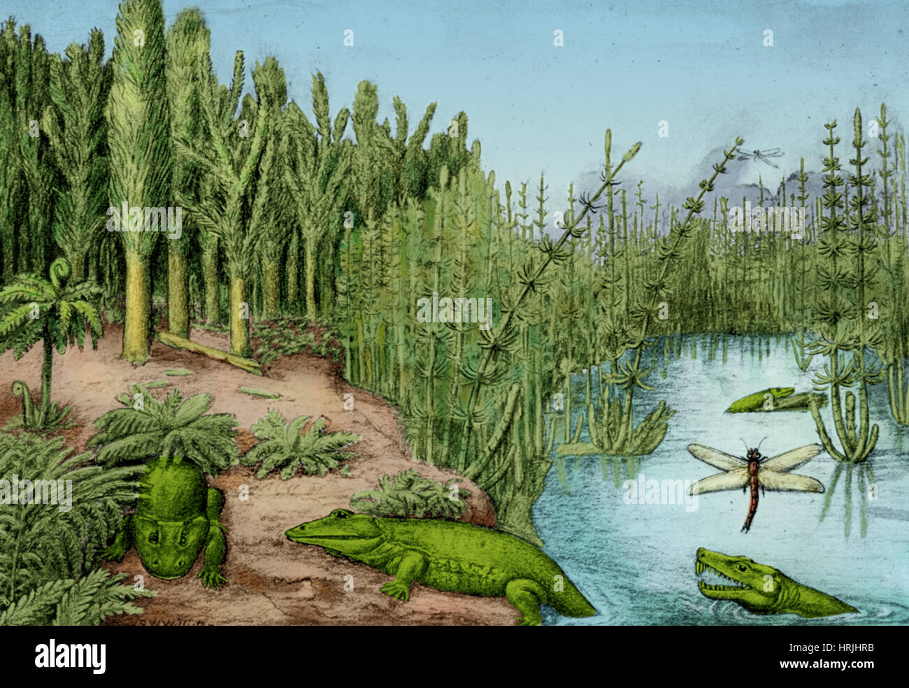 Prehistoric, Permo-Carboniferous Landscape Stock Photo