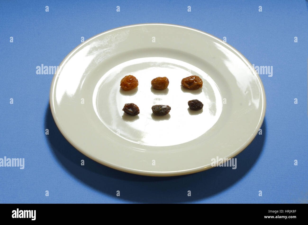 Osmosis experiment hires stock photography and images Alamy