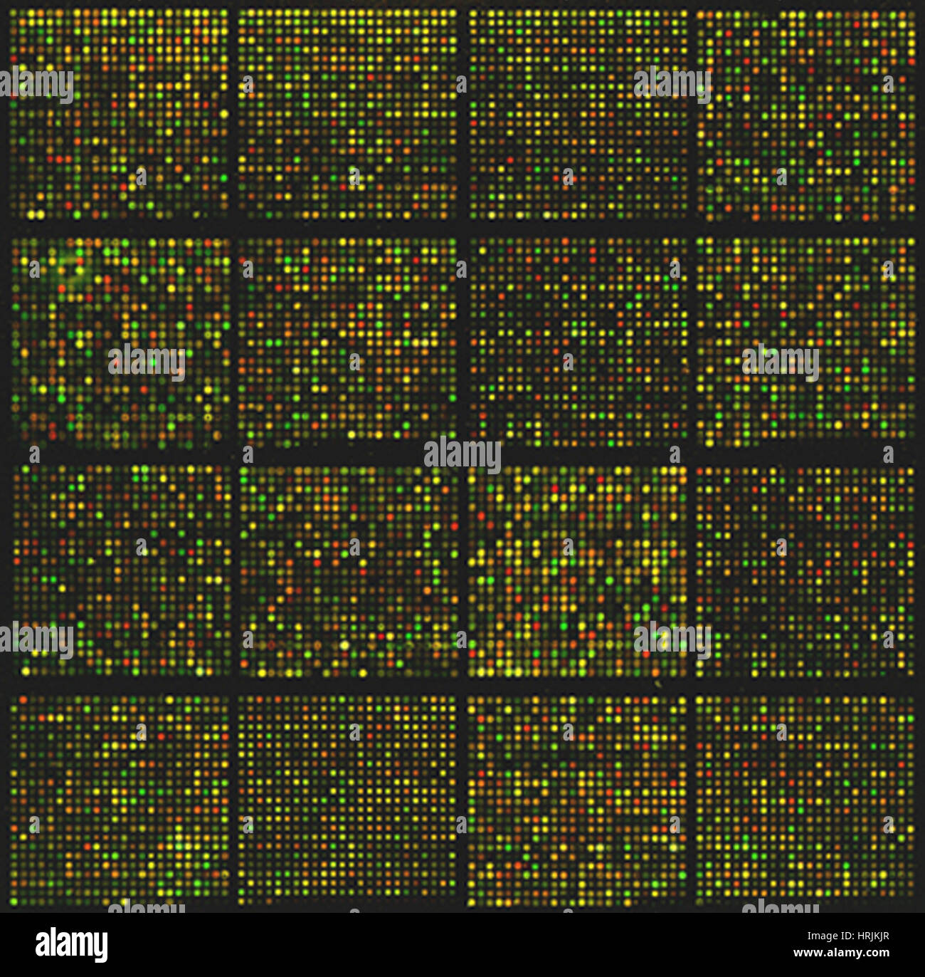 Mouse cDNA Microarray Stock Photo Alamy