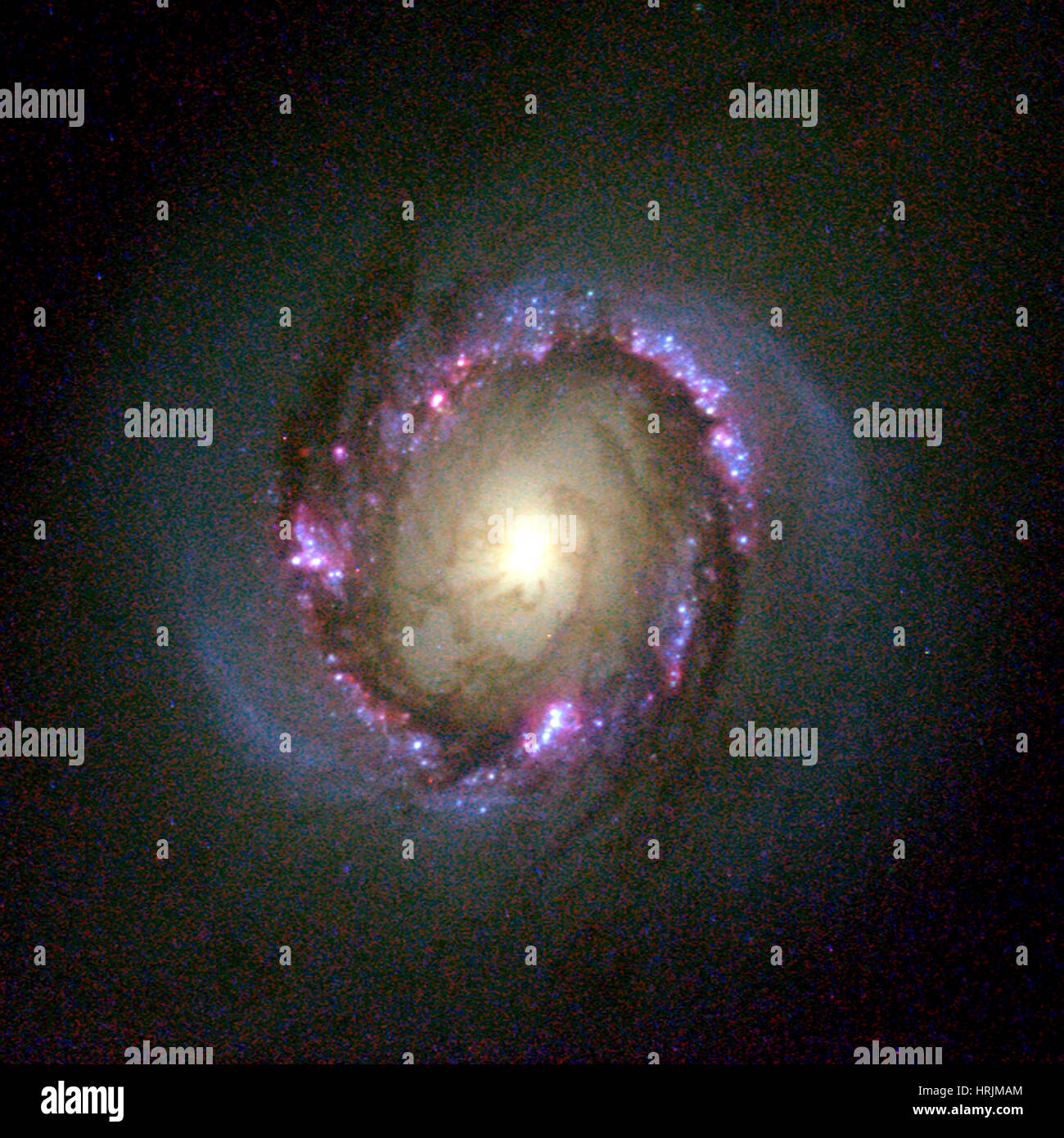 Barred Spiral Galaxy, NGC 4314 Stock Photo Alamy