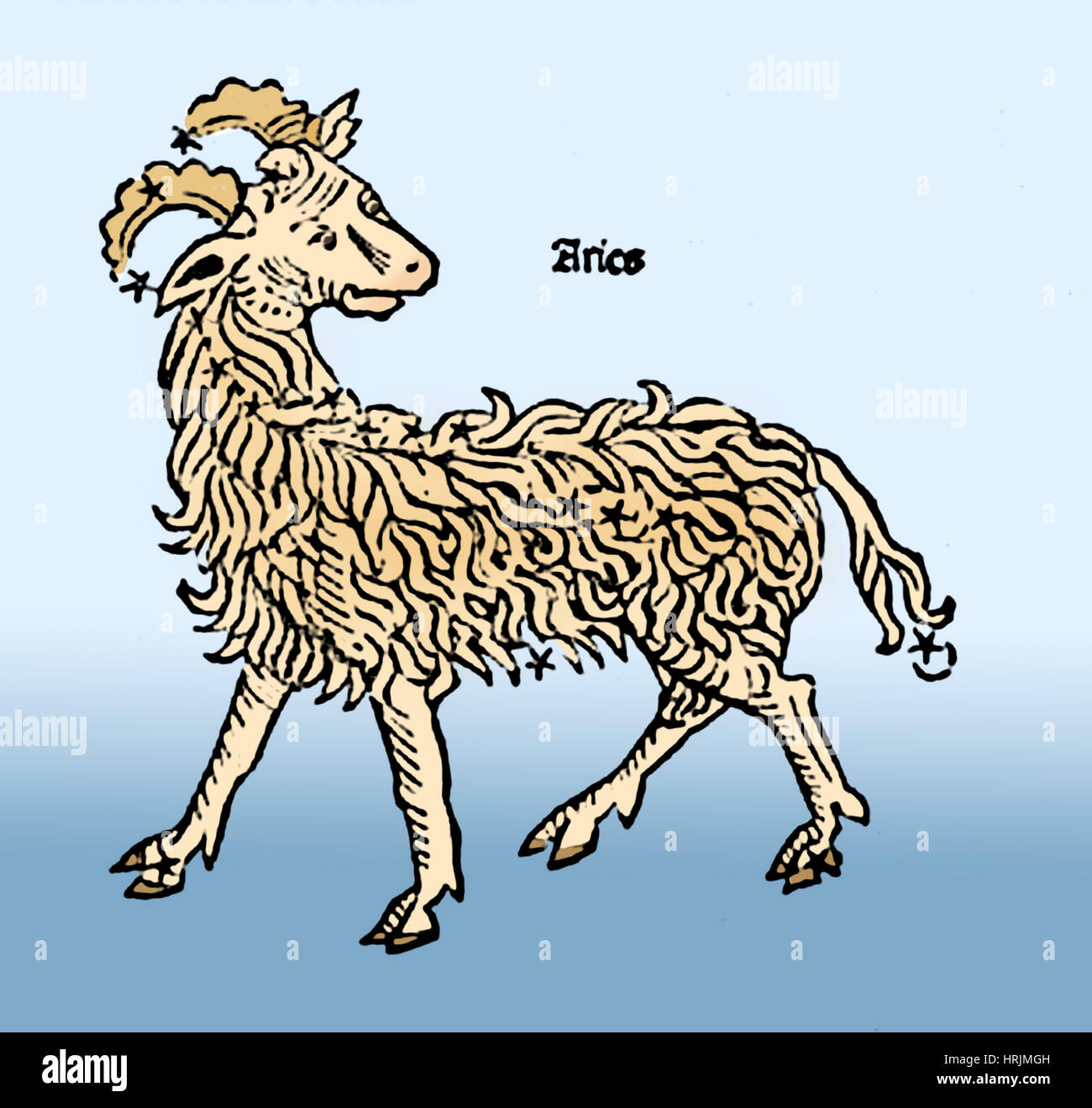 Aries ram hi-res stock photography and images - Alamy Aries ram hi-res stock photography and images - Alamy