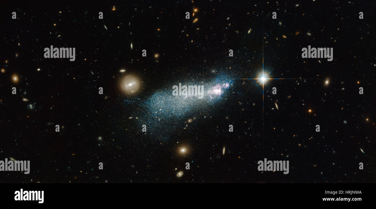 Blue Compact Dwarf Galaxy PGC 51017 Stock Photo