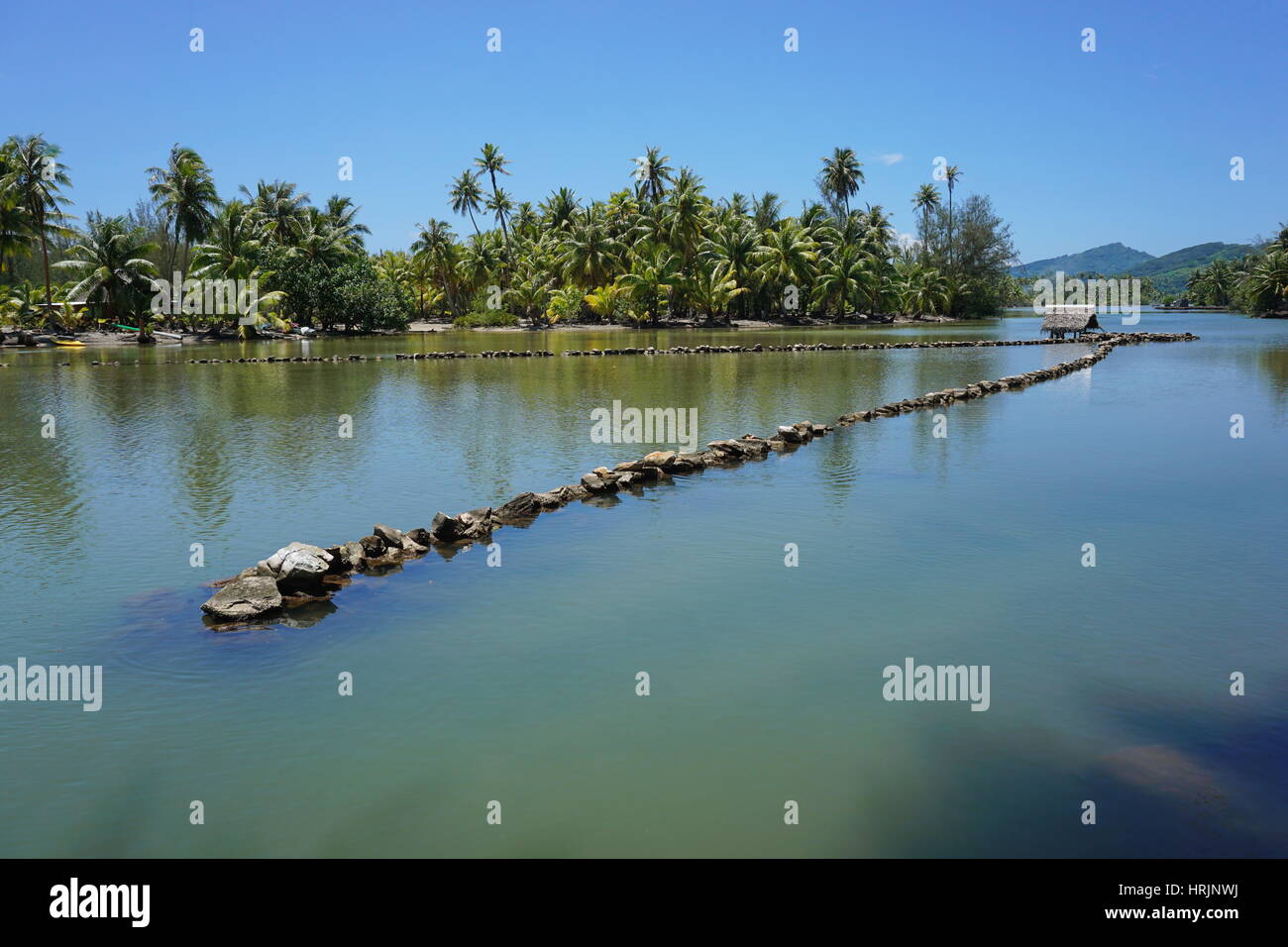 Traditional Polynesian old fish trap made with stones in a channel between a lake and the ocean, Huahine island, French Polynesia, South Pacific Stock Photo