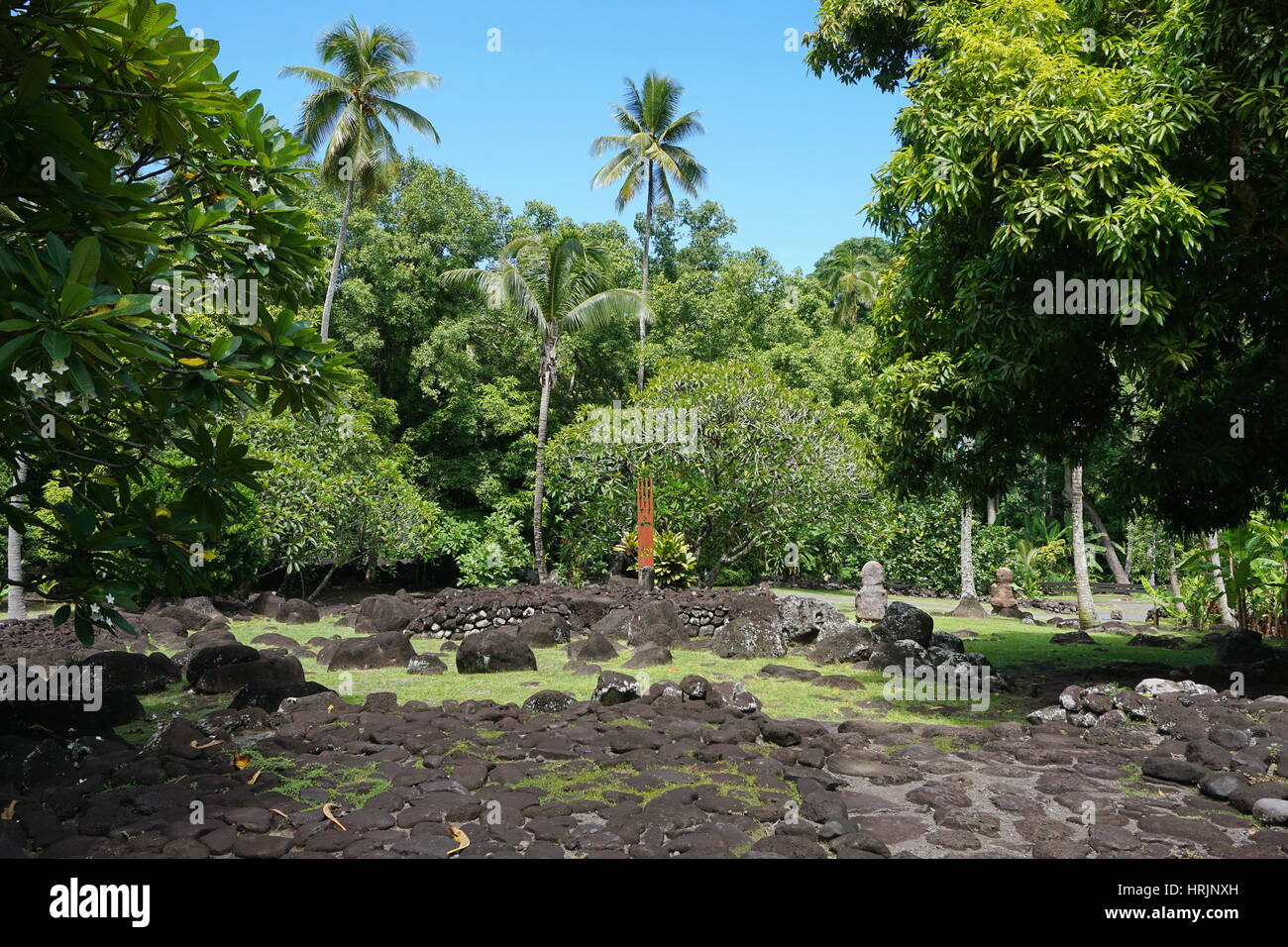 French Polynesia Tahiti marae ancient stone structure with tropical vegetation, Arahurahu, Oceania Stock Photo