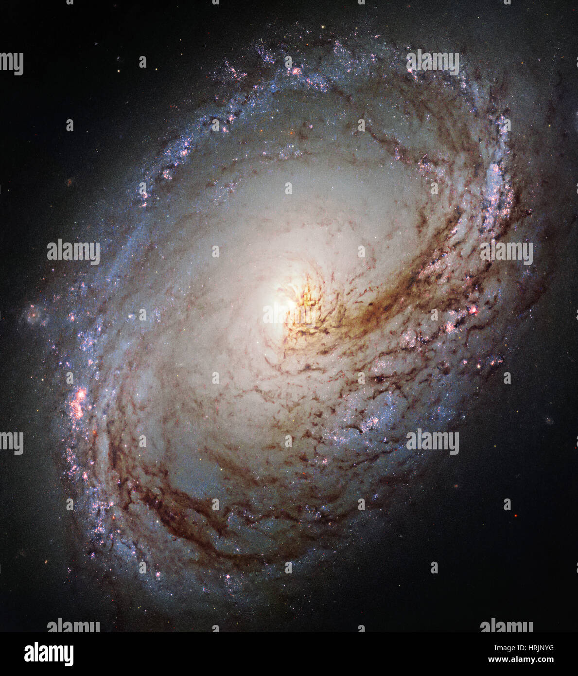 Spiral Galaxy Messier 96 Stock Photo